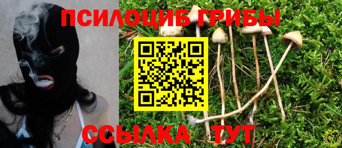 Галлюциногенные грибы прущие грибы  Псилоцибиновые грибы мухоморы  Кропоткин  Вход с VPN 